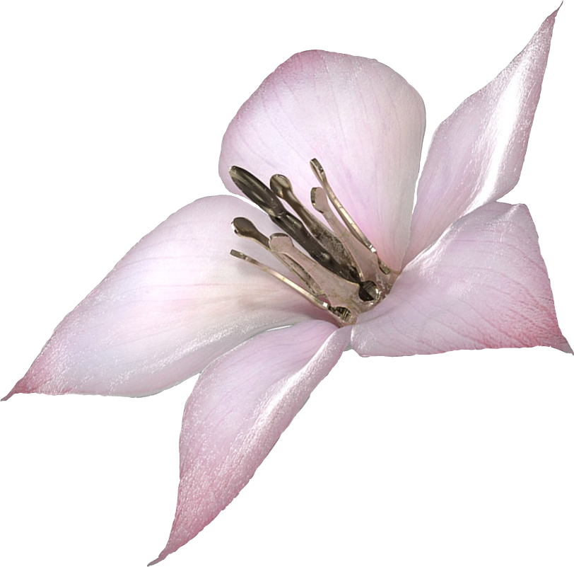 Imagei Made A Png Of A Lunar Tear, Use It Well - Lunar Tear Drakengard 3 (812x801), Png Download