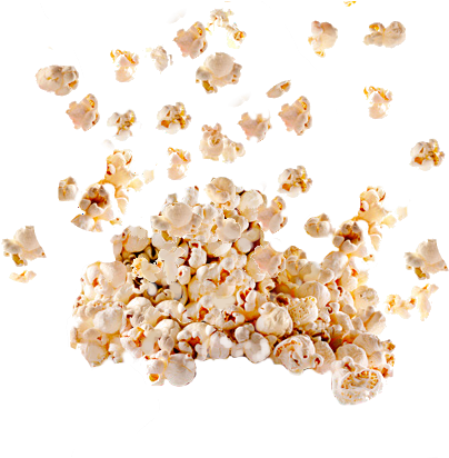 Popcorn Png Picture - Animal (600x411), Png Download