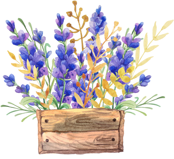 English Lavender Watercolor Painting Flower Drawing - Watercolor Flowers In A Box (700x700), Png Download
