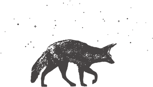 Andreas Fox Safaris - Fox Logo Transparent Background (750x387), Png Download