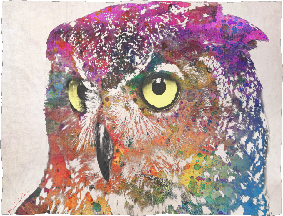 Owl Fleece Blanket - Trademark Art Mark Ashkenazi 'owl Drowing' Gallery (1024x1024), Png Download