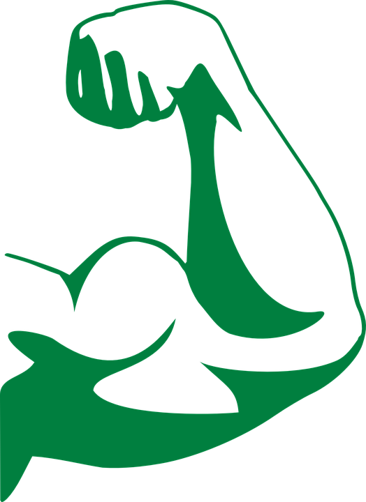Small - Arm Muscle Clipart (432x593), Png Download
