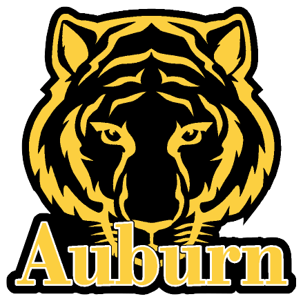 Auburn Elementary School - Okay! - Dj Favorite & Theory - Download (439x436), Png Download