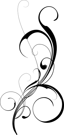Elegant Filigree Sticker - Trazos Decorativos (247x520), Png Download