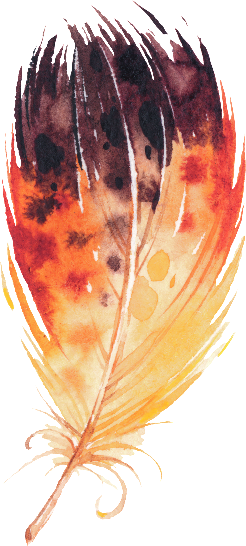 Flame Wing Cartoon Transparent - Marmont Hill Feather Collage Ii By Melanie Clarke Framed (1024x2265), Png Download