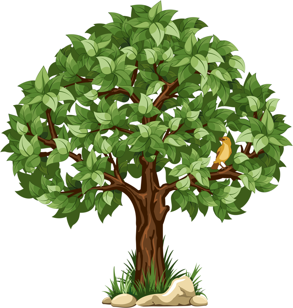 9 - Transparent Background Tree Clipart (483x500), Png Download
