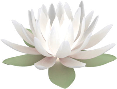 Sacred Lotus (400x400), Png Download