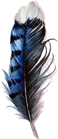 Watercolor Feathers Png Graphic Royalty Free - Blue Jay Feather Watercolor (570x759), Png Download