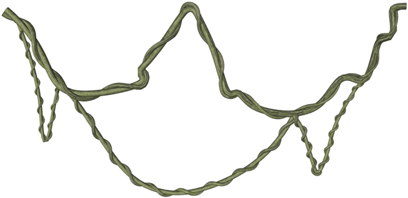 15 Jungle Vine Png For Free Download On Mbtskoudsalg - Jungle Vine Transparent (894x894), Png Download