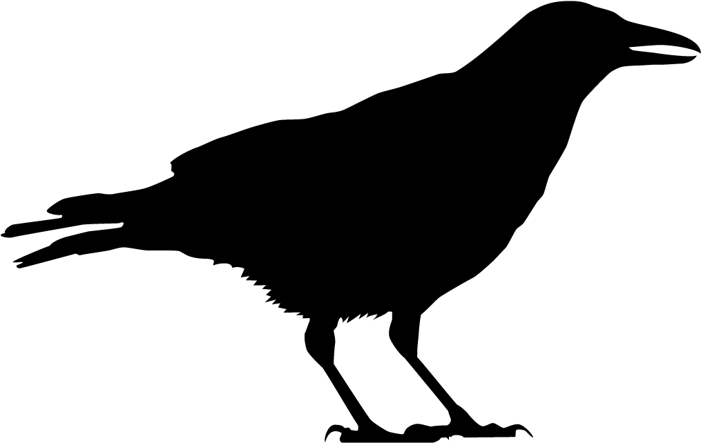 Clip Freeuse Library Browse By Shape All About Birds - Black Crow Silhouette (1024x1024), Png Download