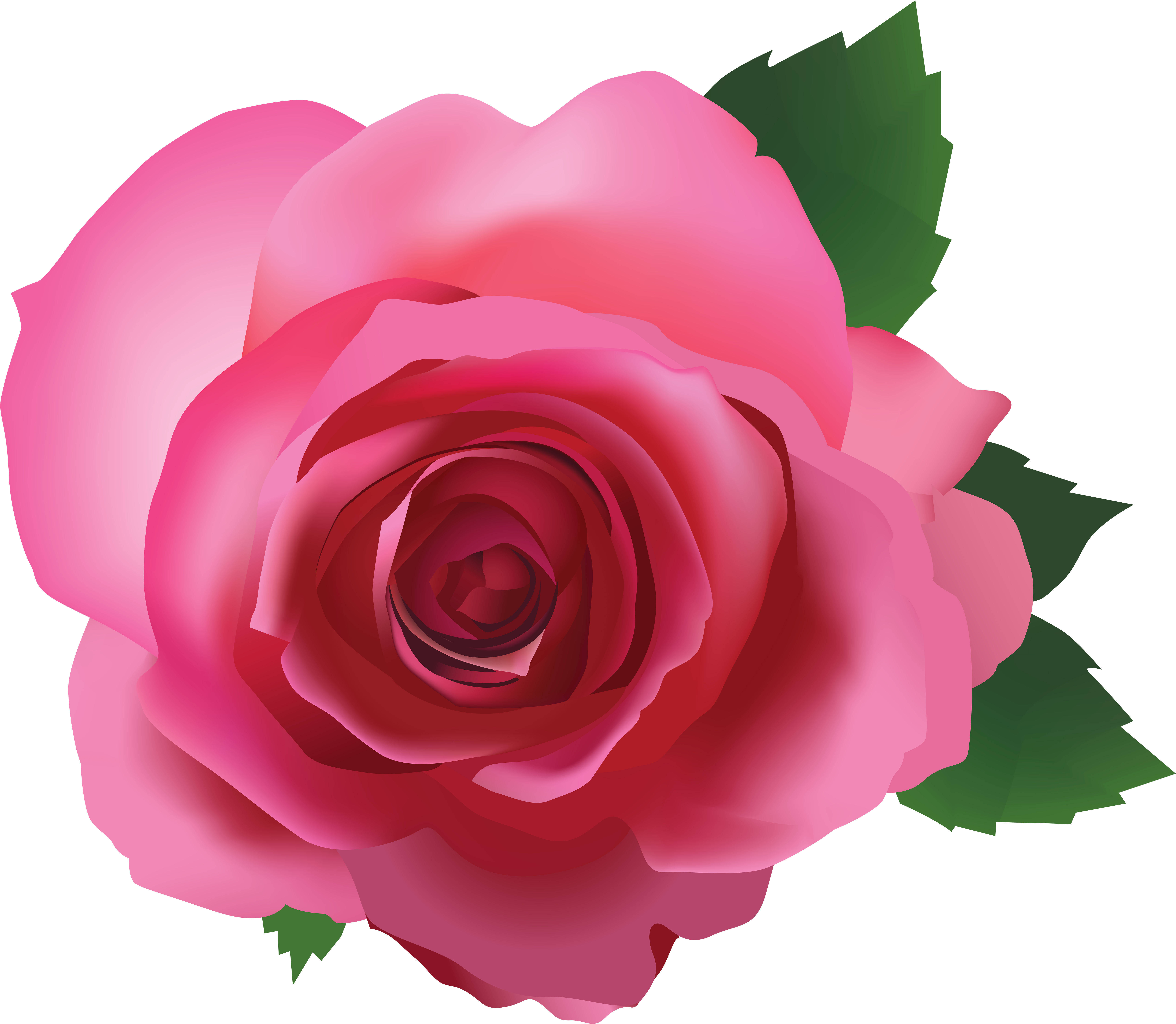 White Pink Rose Transparent Background (7000x6095), Png Download