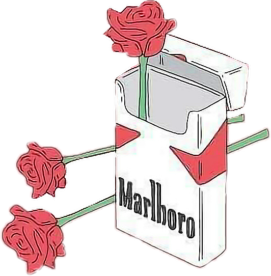 Aesthetic Png Tumblr Freetoedit - Marlboro Rose (532x542), Png Download