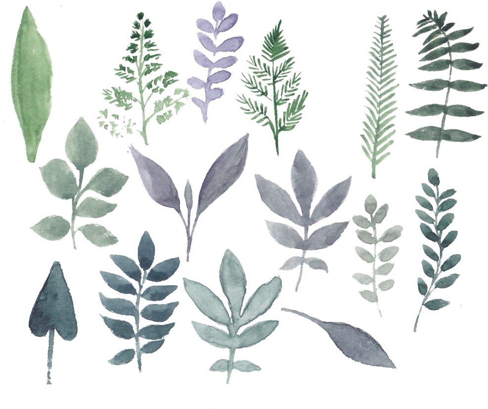 Flowers Watercolor Set Png - Watercolor Painting (1024x881), Png Download