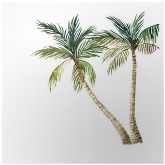 Palm Tree Isolated On White Background - Watercolor Palm Tree (400x400), Png Download