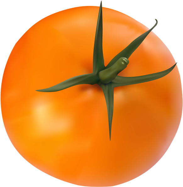0, - Cherry Tomatoes (589x600), Png Download