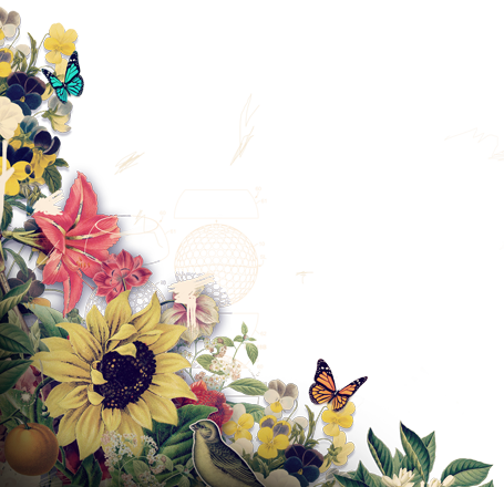 We've Moved Sunflowers Announcement On Rustic Painted (455x440), Png Download