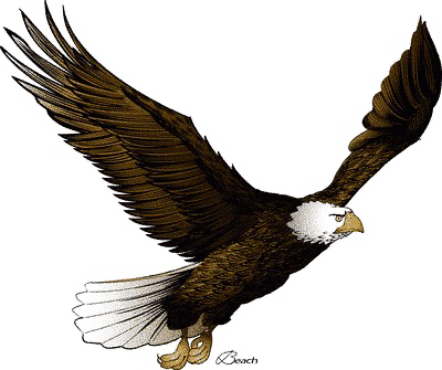 Flying Eagle Png Pic - Flying Eagle Clip Art (400x335), Png Download
