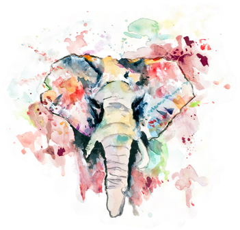 Picture - Illustration (444x356), Png Download