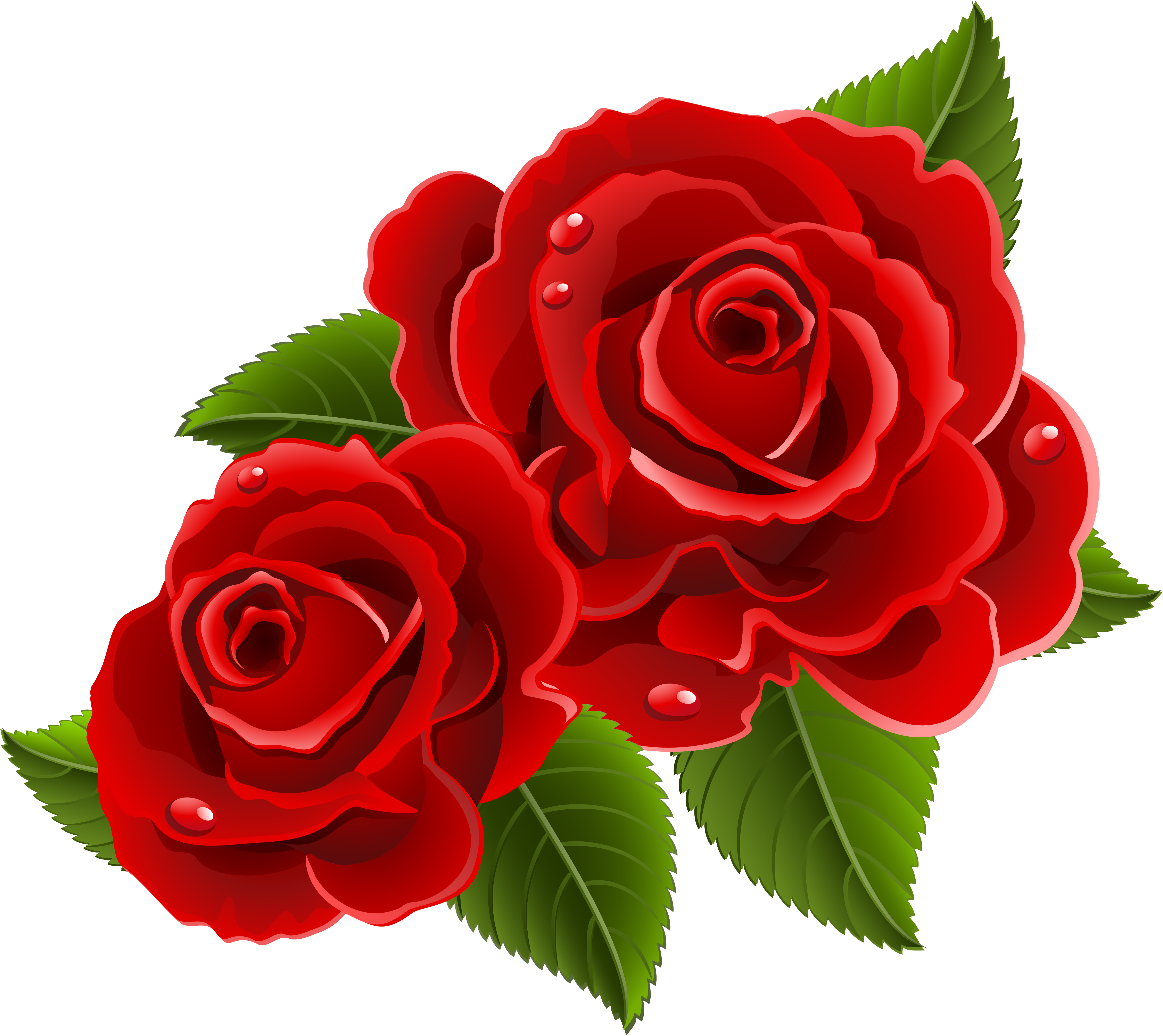 Beautiful Clipart Red Rose - Beautiful Red Rose Flowers (5803x5168), Png Download