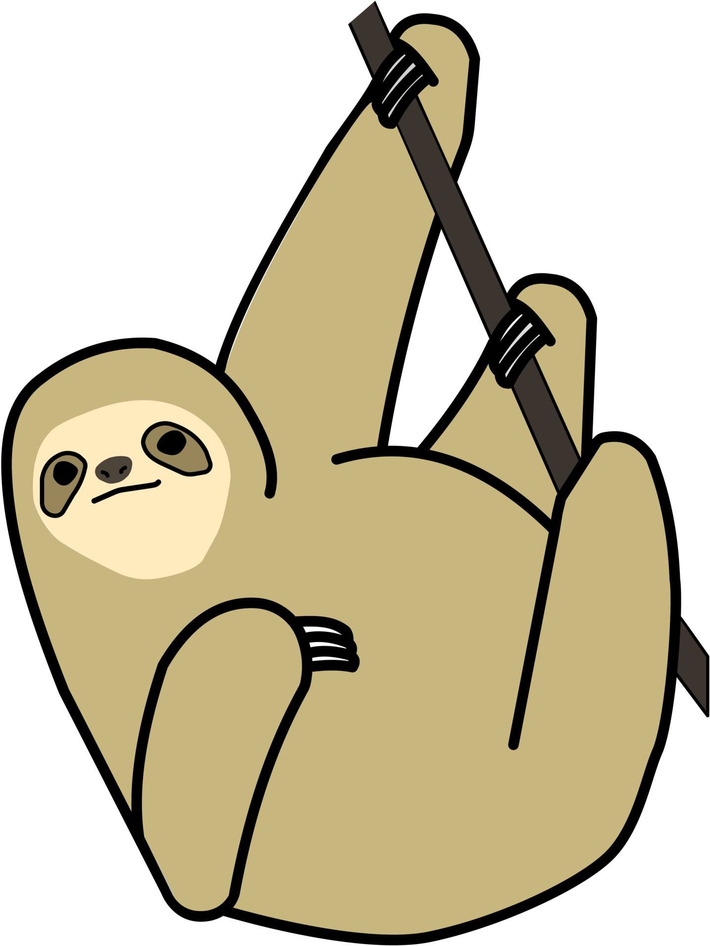Three Toed Clipart At Getdrawings Com Free - Sloth (1838x2048), Png Download