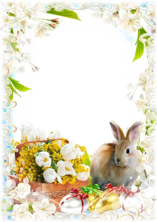 Easter Frames Transparent Image - Easter Frame Png (500x707), Png Download