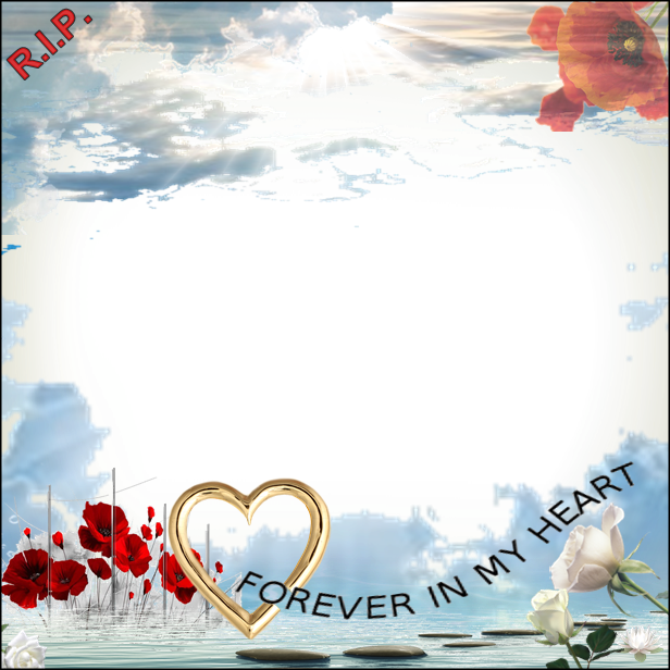 Security Check Required - Tableau - Coquelicots - Rouge Miracle - Bimago - Bimago (616x616), Png Download