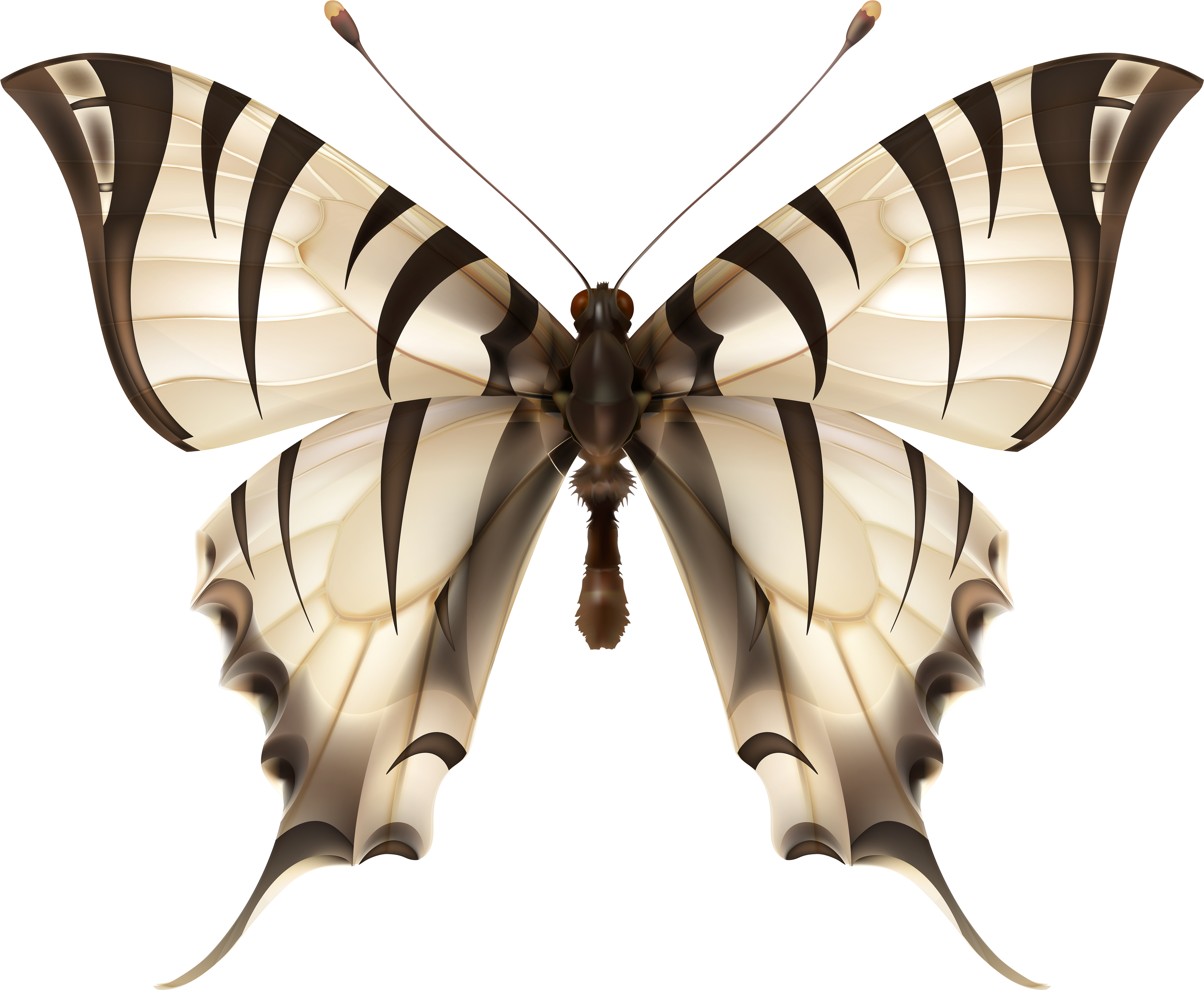 Butterflies Clipart Zebra - Vector Graphics (5000x4130), Png Download