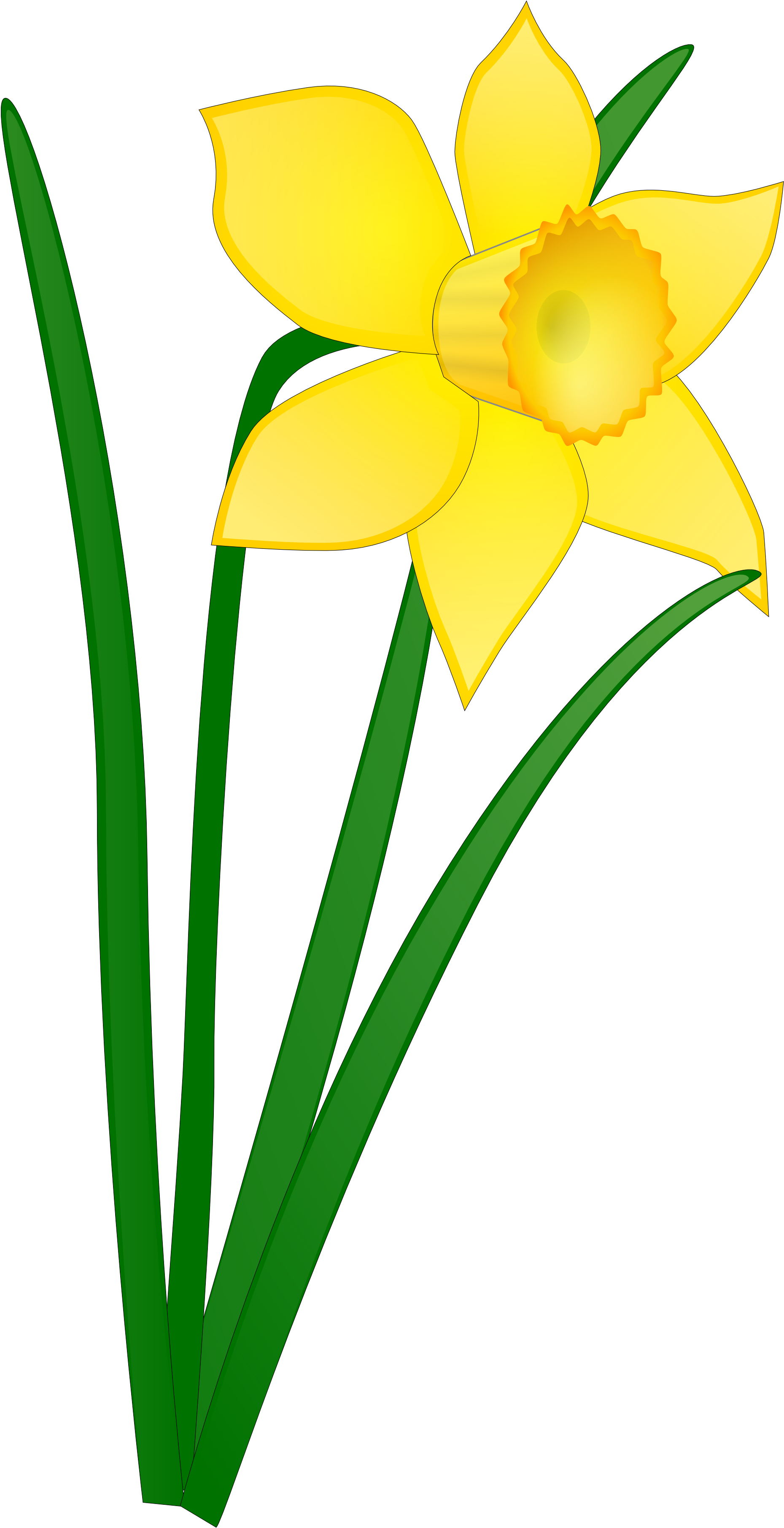 Svg Transparent Daffodil Flower Clip Art Panda Free - Daffodil Clipart (1969x3684), Png Download