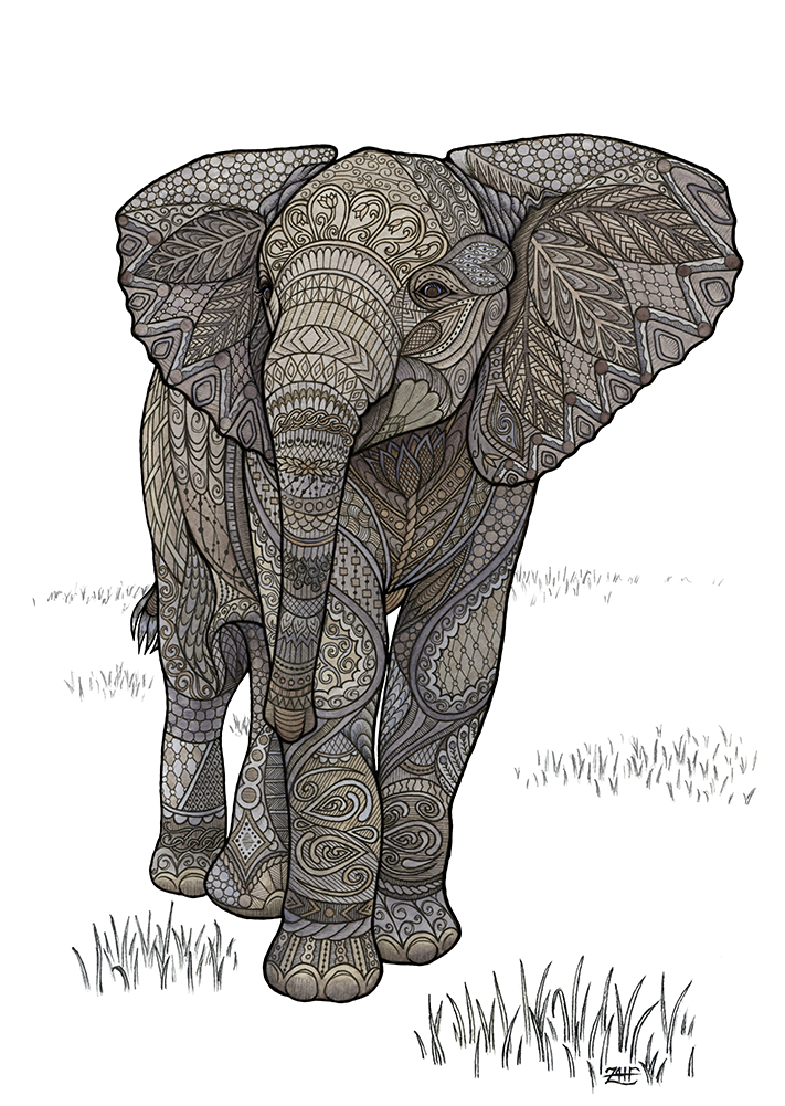 A Happy Little Adolescent Elephant, Unaware That He's - Drawing (1000x1000), Png Download