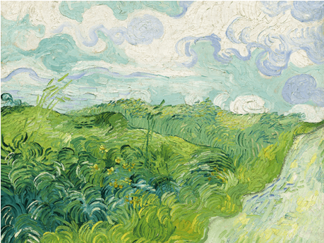 Reprodukcje Obrazów Vincent Van Gogh Green Wheat Fields - Vincent Van Gogh - Green Wheat Fields, Auvers, 1890 (458x458), Png Download