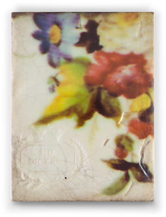 Awakening - Silk Road - Fall Collection - Sid Dickens (552x720), Png Download