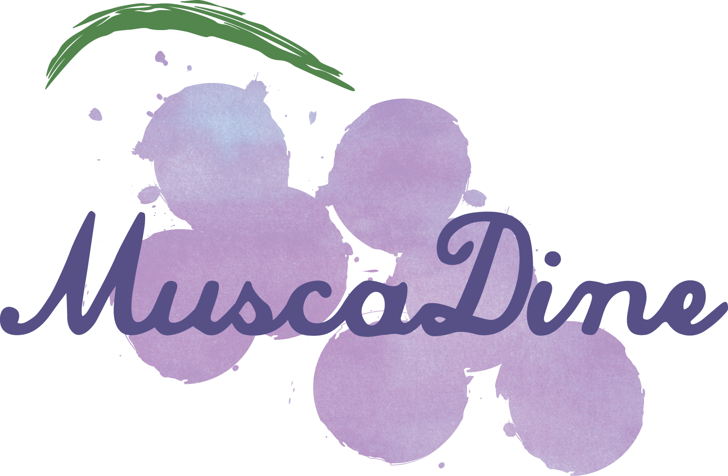 Muscadine Rgbwatercolor Grapes Purple - Muscadine (1500x981), Png Download