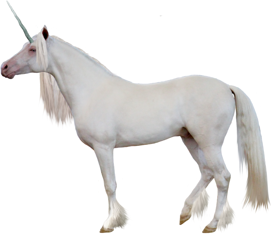 Unicorn Png Image - Caballo Unicornio Png (1024x791), Png Download