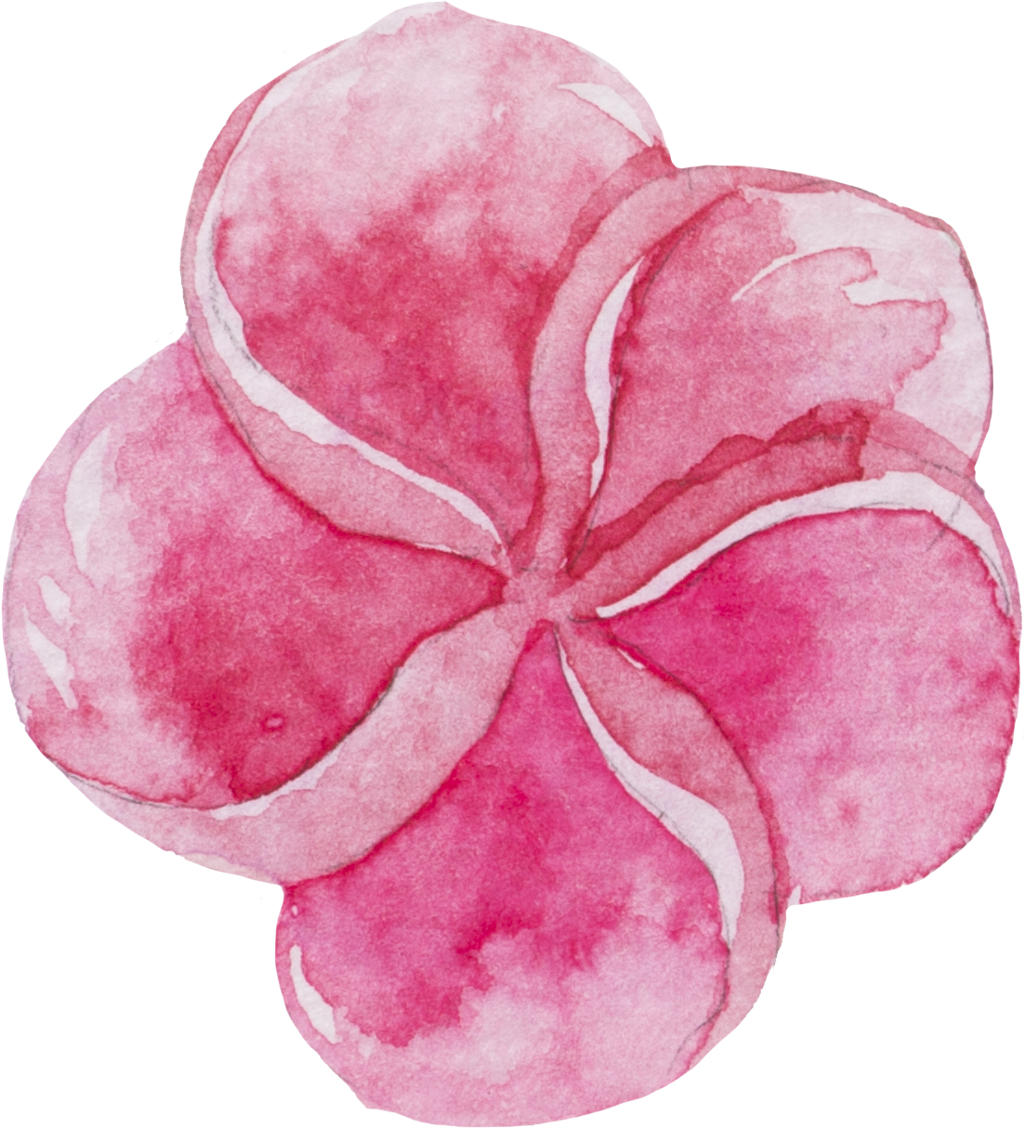 Watercolour Watercolor Sticker Ftestickers Flowers - Sweet Pea (1024x1128), Png Download