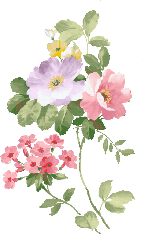 Dibujos Primavera Png - Pintura Flores Png (500x799), Png Download