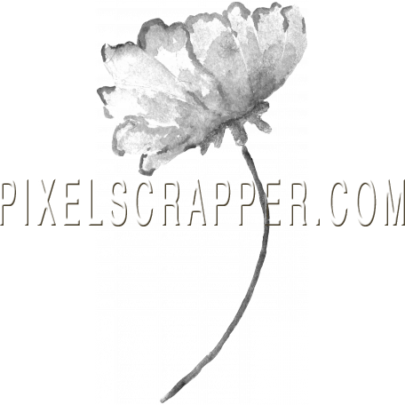 Watercolor Brush Kit 5 - Peony (456x456), Png Download