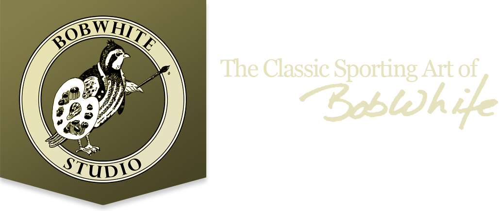 Bobwhite Studio - Bobwhite Studio Llc (1028x435), Png Download