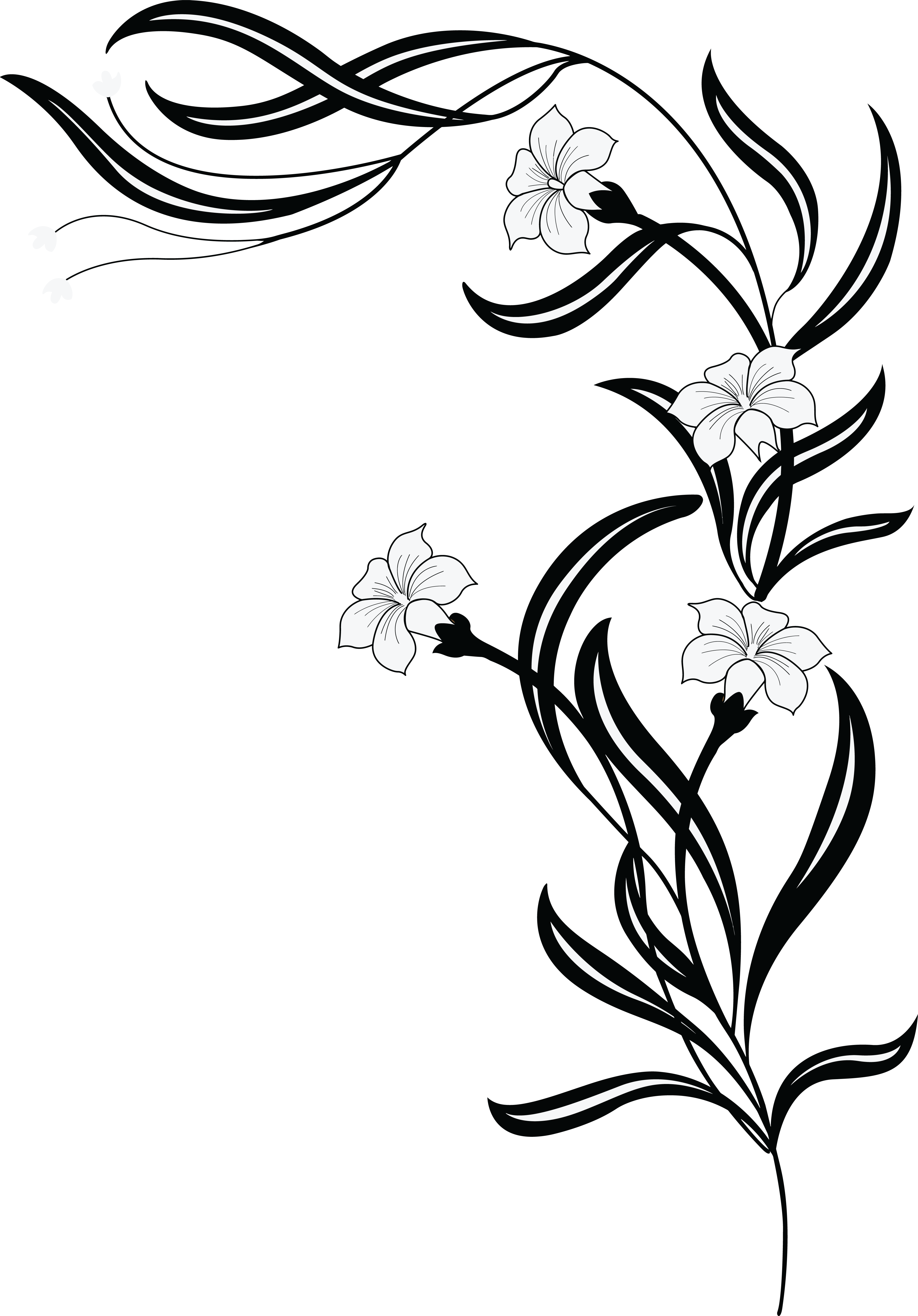 Floral Design With Flowers Leaves And Buds On Vines - Black And White Clipart Flowers (4000x5729), Png Download