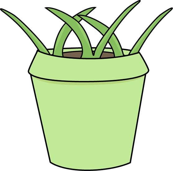 Flower Pot With Weeds Clip Art - Sequencing Pictures 3 Step (556x550), Png Download