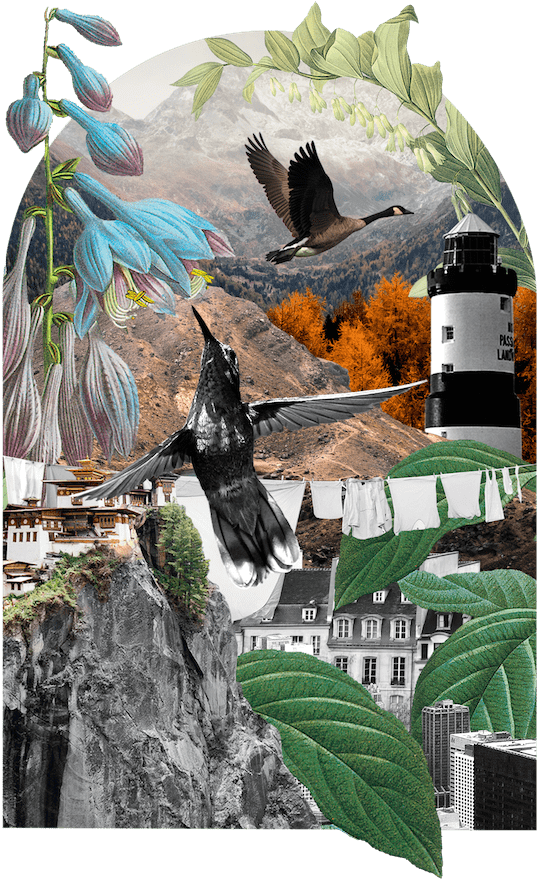 Benefit-collage - Website (800x1199), Png Download