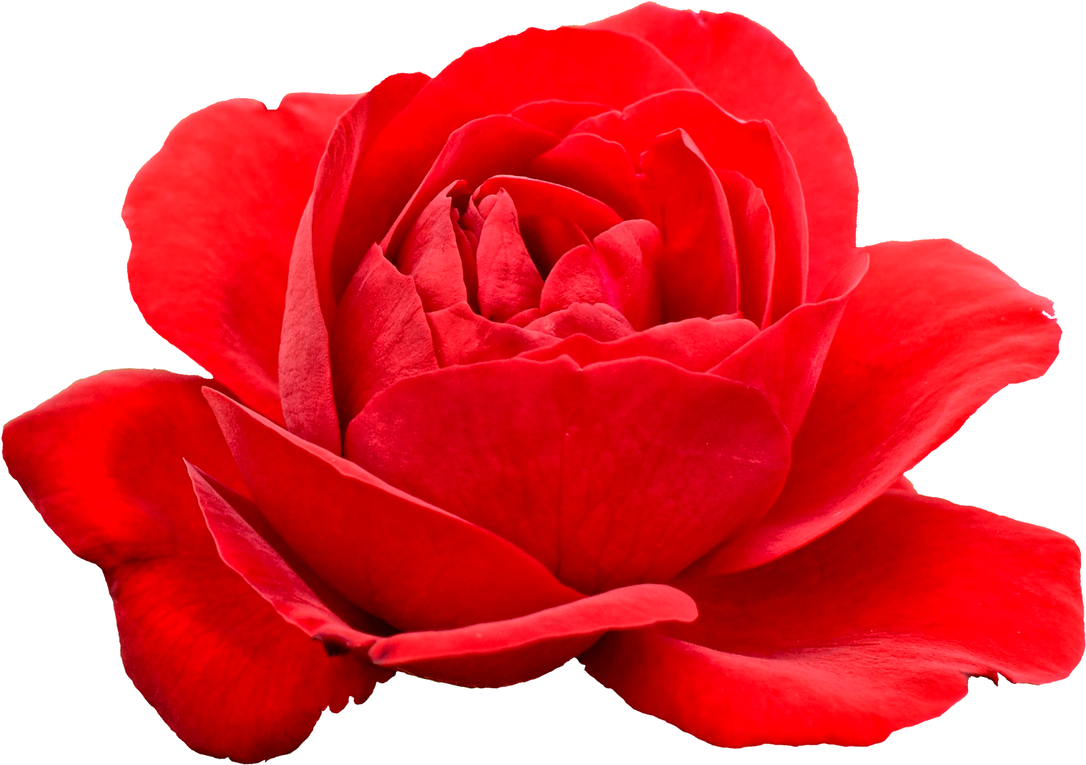 Free Download - Portable Network Graphics (1800x1400), Png Download