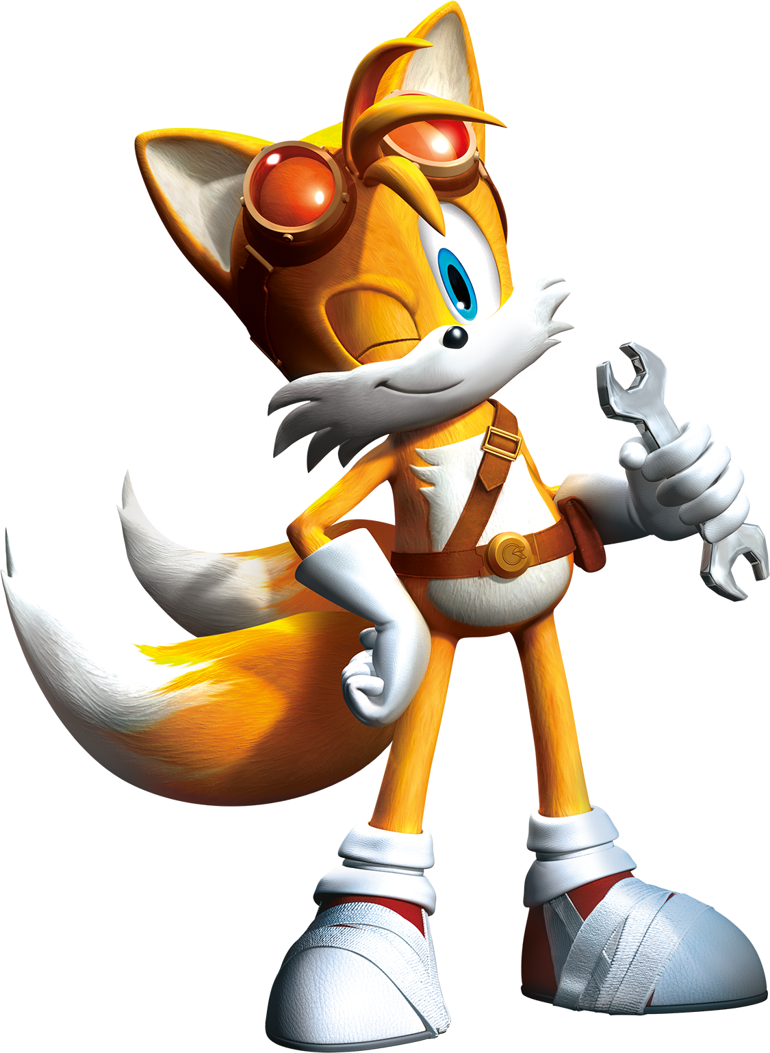 His Fur Brings The Color Of Maria's Hair To Shadow's - Sonic The Hedgehog Boom Tails (1125x1538), Png Download