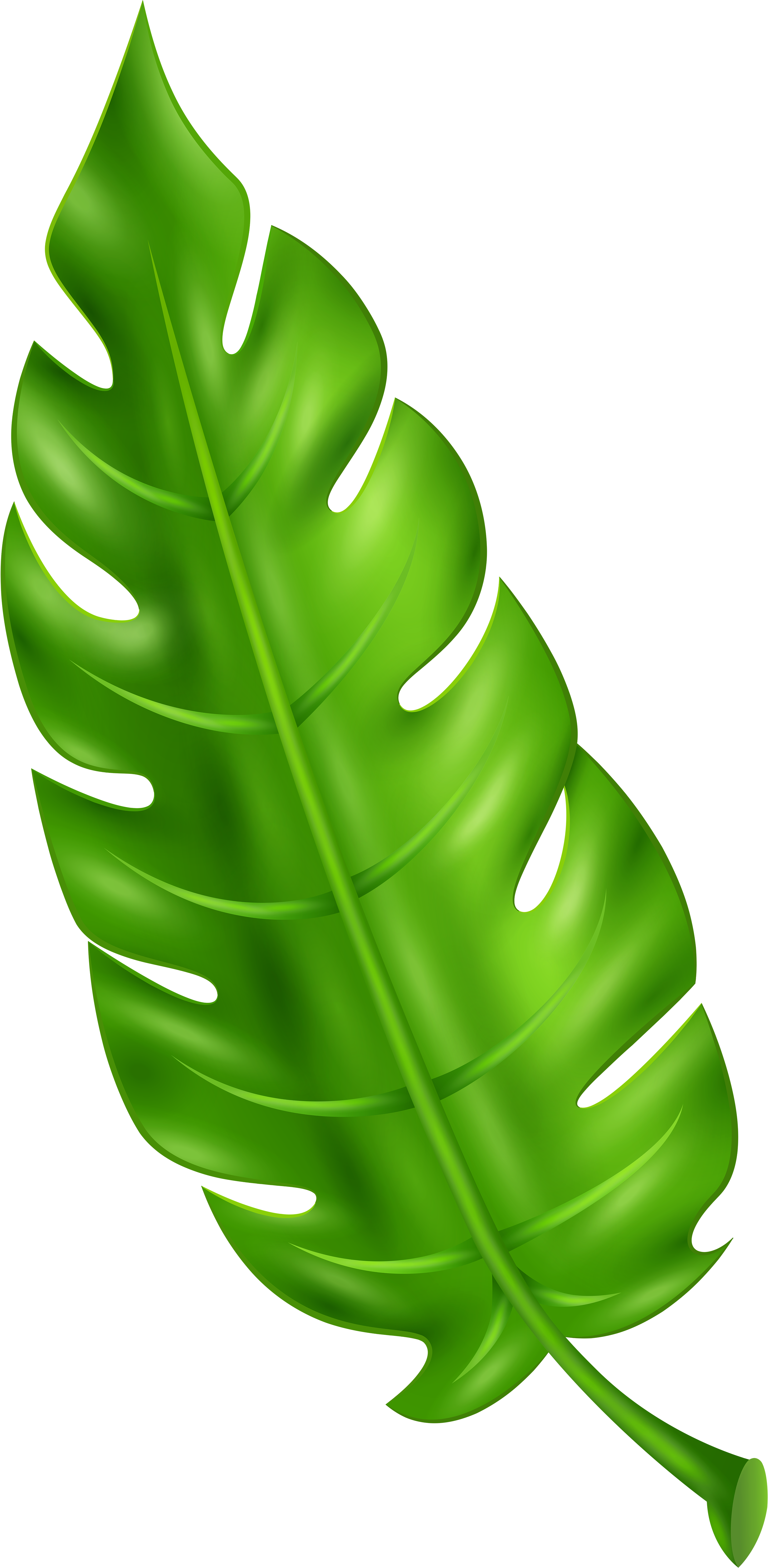 Exotic Green Leaf Clip Art Png Imageu200b Gallery Yopriceville - Leaf Clipart Png (3127x6000), Png Download