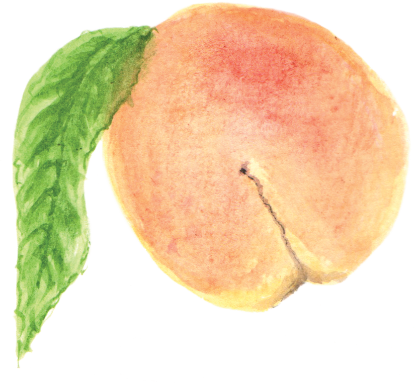 File - 桃子peach - Wikimedia Commons (827x762), Png Download