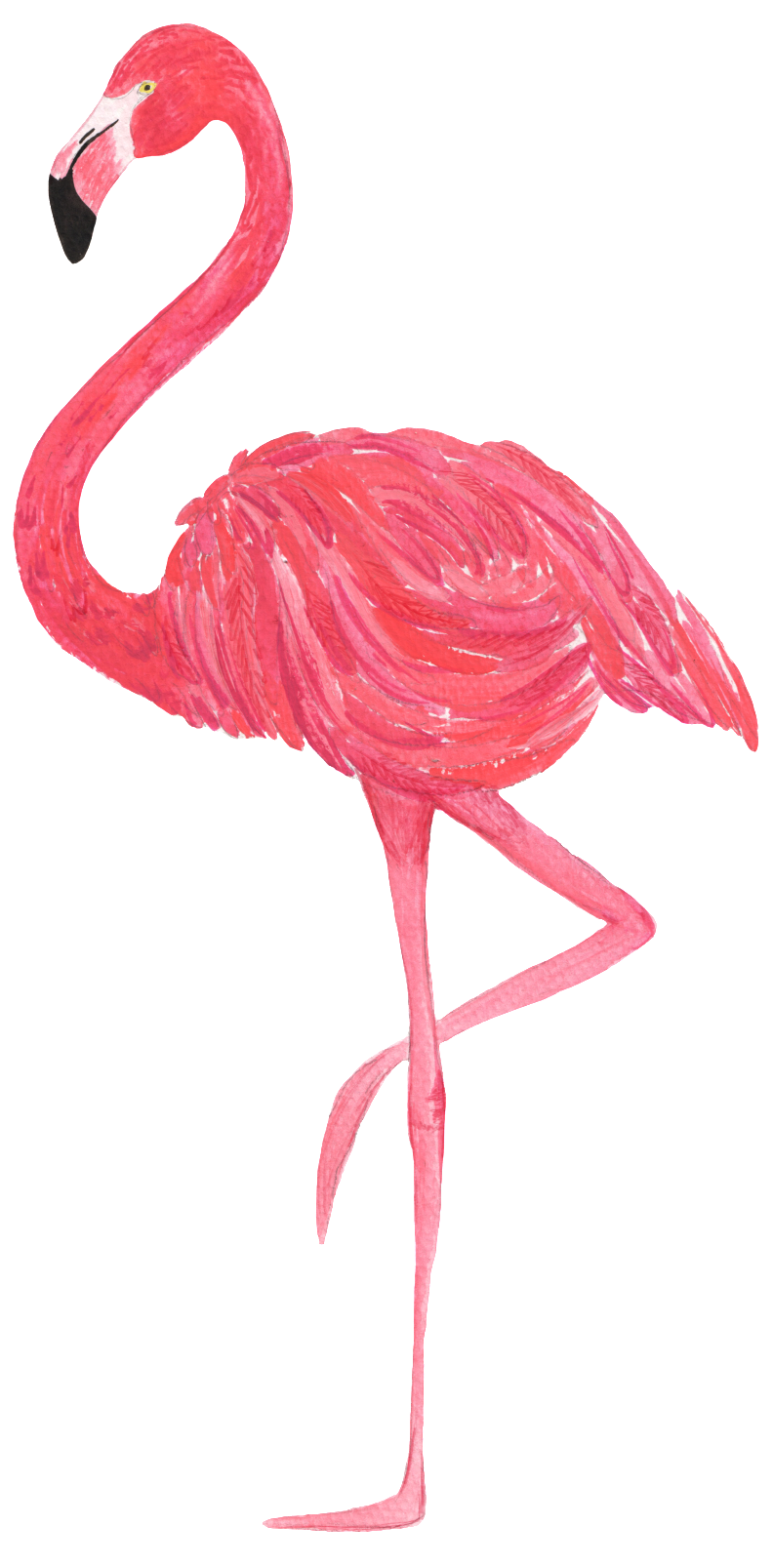 Red Flamingo Watercolor Transparent And Exempted - Topo De Bolo Flamingo (1024x1743), Png Download