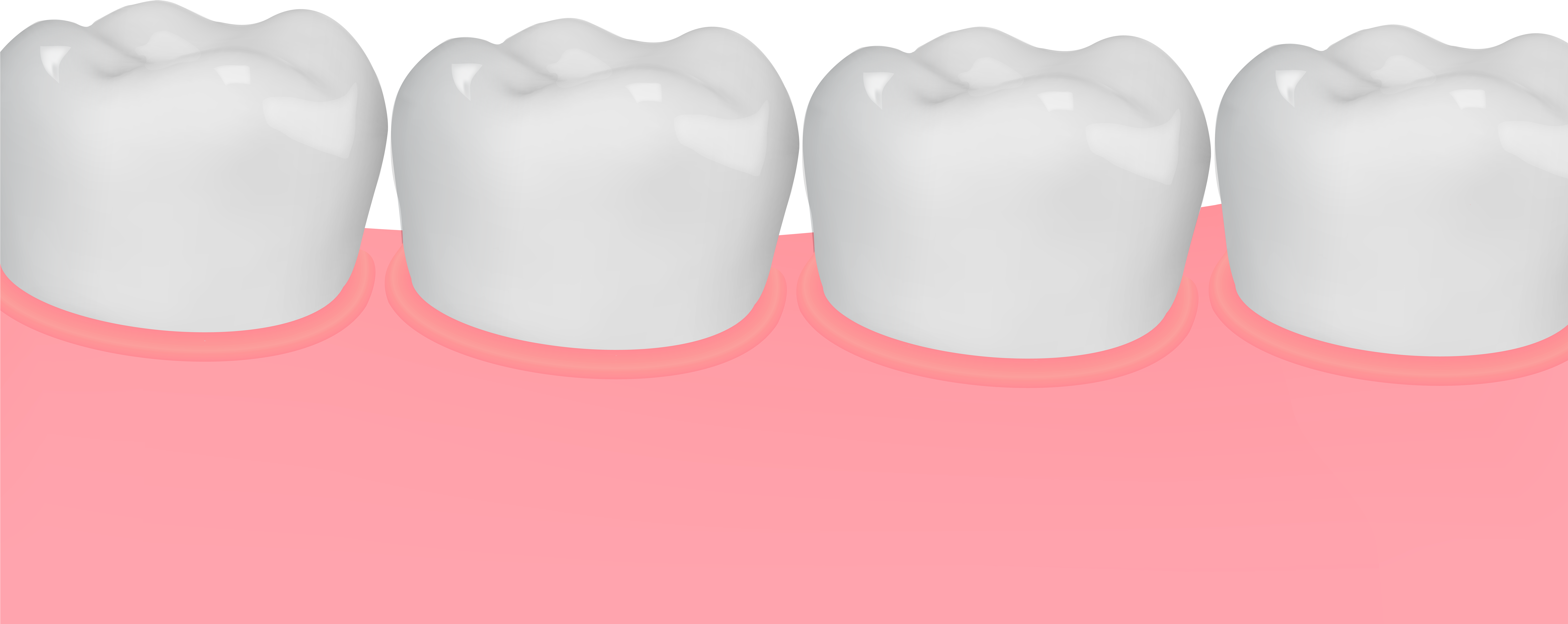 Gum And Teeth Png Clip Art Image - Tongue (8000x3243), Png Download