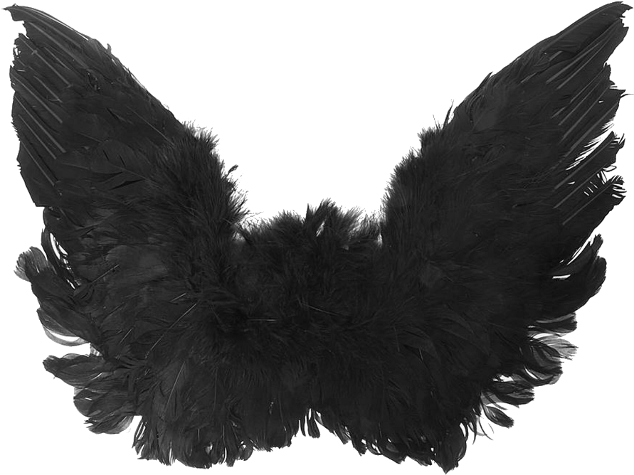 Wings Black Dark Grunge Png Editpng - Free Black Angel Wings (1024x1024), Png Download