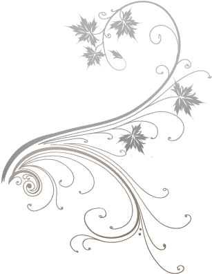 Vine - White Flower Vine Png (325x450), Png Download