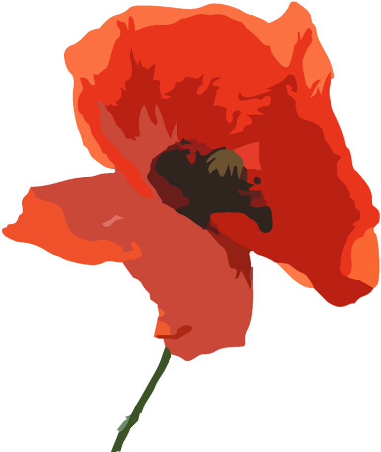 Report Abuse - Remembrance Day Bidding Prayers (1537x1024), Png Download