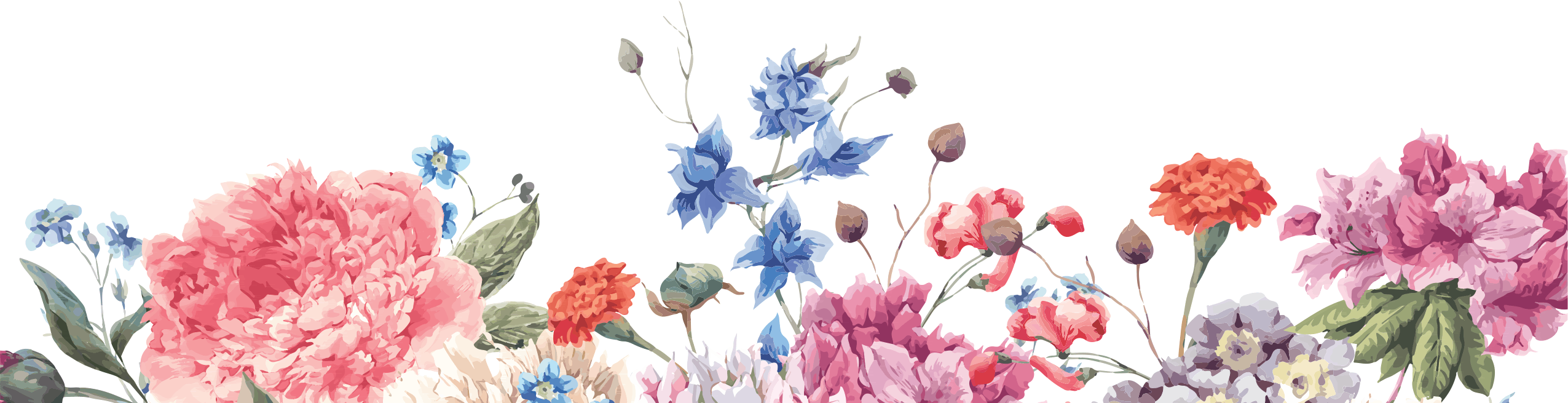 Horizontal - God's Word Your Voice 2nd Edition: Speaking Ld's Life (2551x655), Png Download